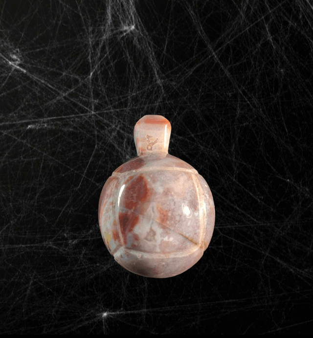 Tortue Jaspe océan