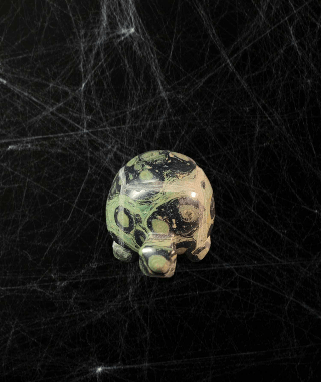 Tortue Kambaba