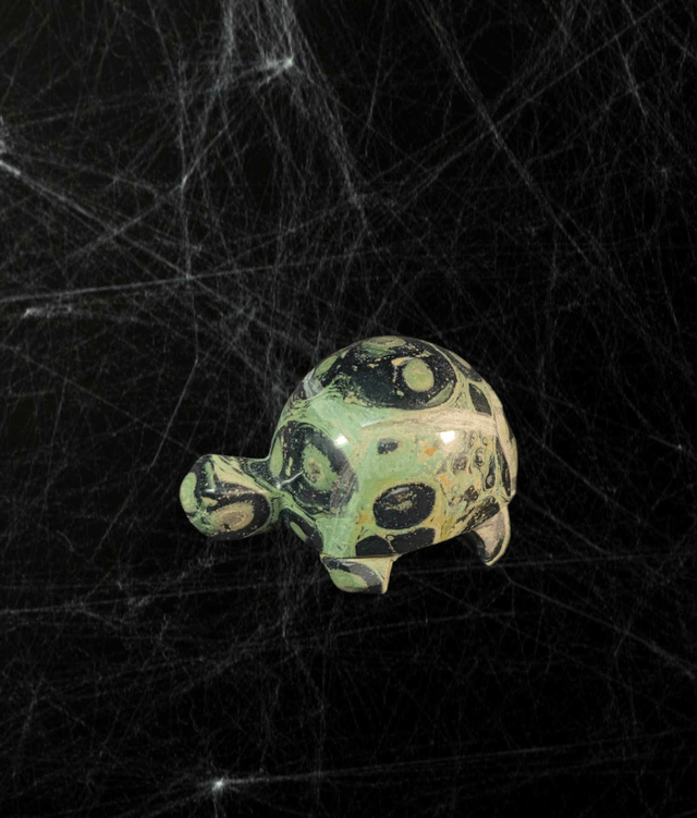 Tortue Kambaba
