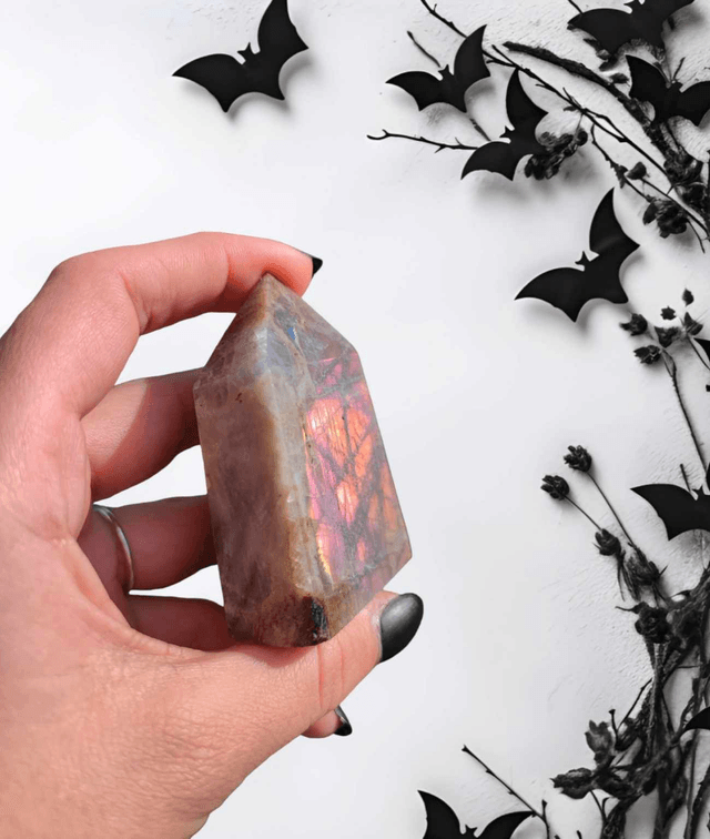 Pointe  Labradorite grise
