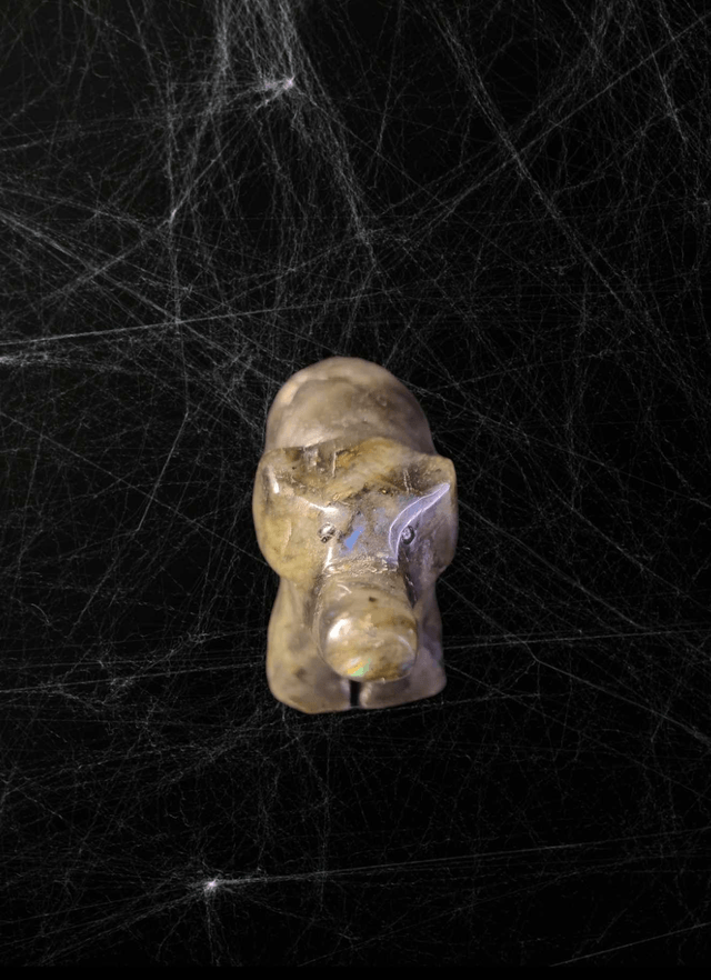Elephant Labradorite