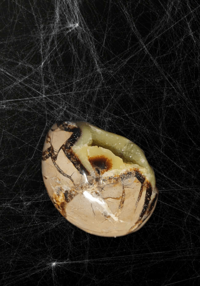 Druse Septaria