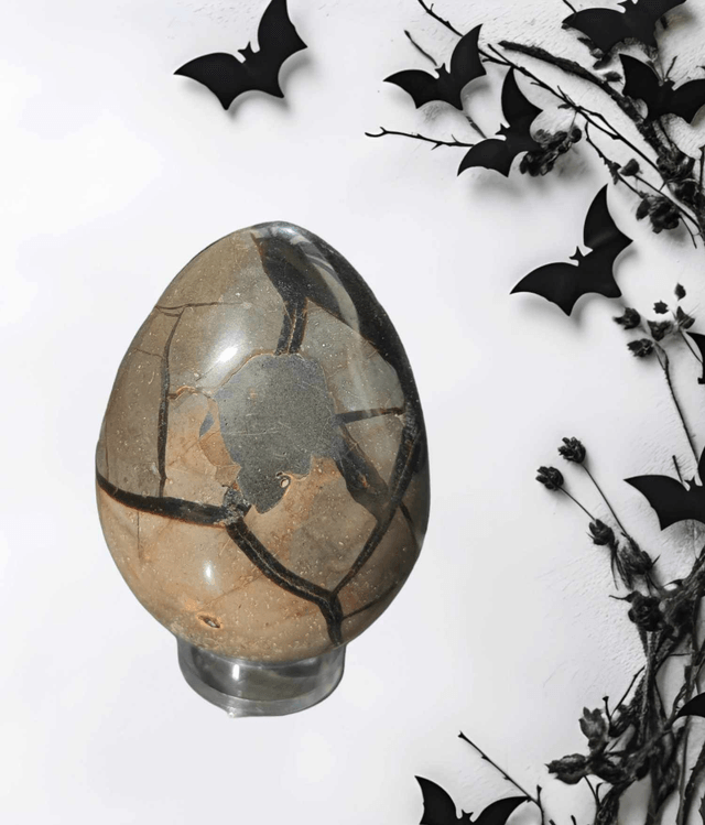Oeuf Septaria