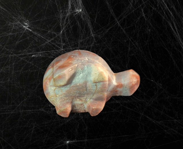 Tortue Jaspe océan