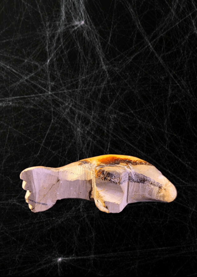Dauphin Septaria