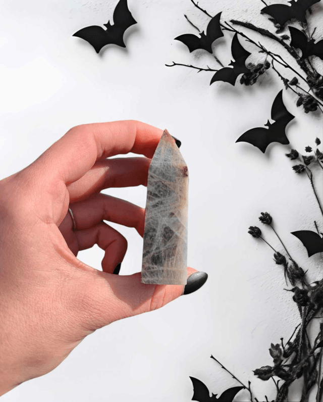 Pointe  Labradorite grise