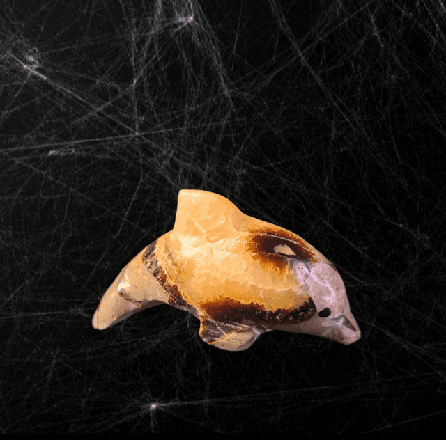 Dauphin Septaria