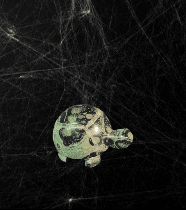 Tortue Kambaba
